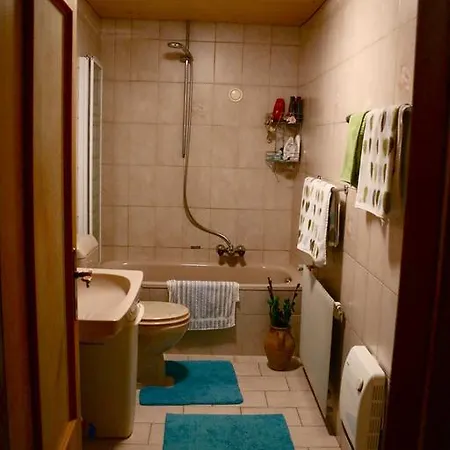 Eggerhof Apartment Neustift im Stubaital